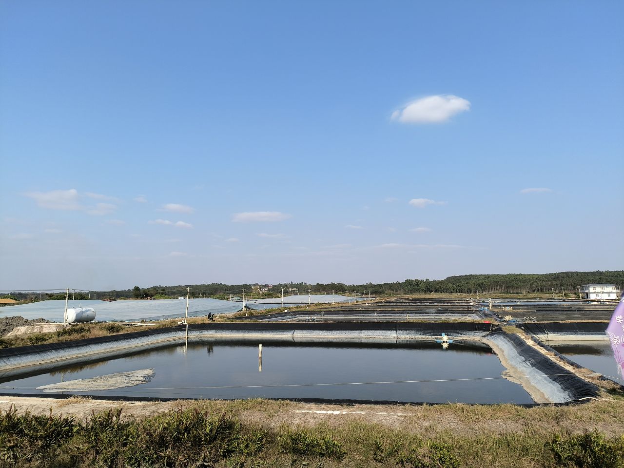 陆恒应用案例丨广西北海银海海水养殖实验室检测【海水养殖】